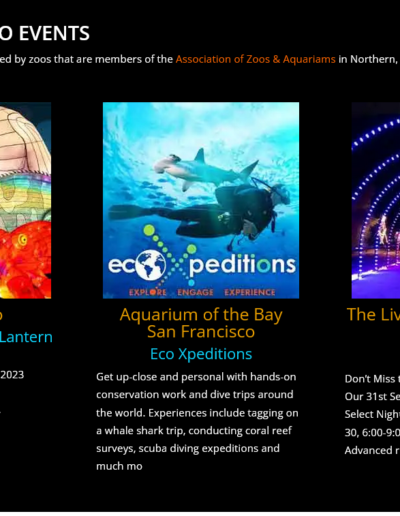 Zoo website layout