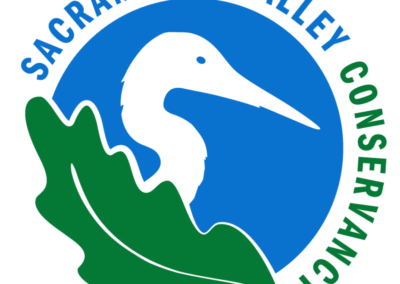 Bird Logo