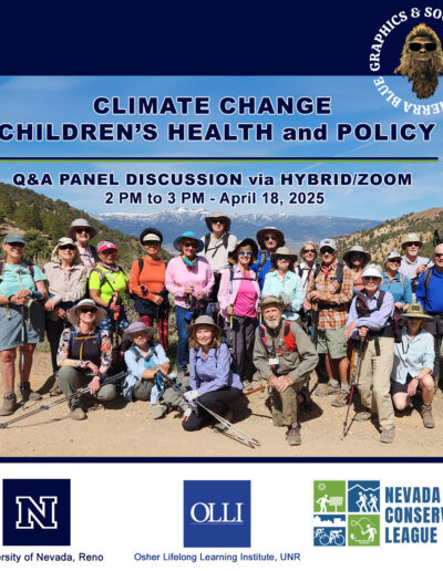 Poster for environmental policy forum