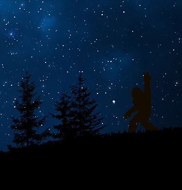 bigfoot in a forest at night