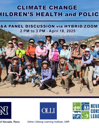 poster for environmental group